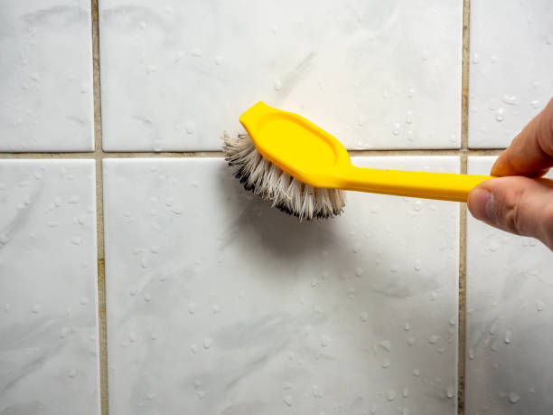 Best White Mold Remediation in Turnersville, NJ