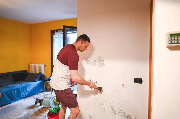 Professional Mold Remediation in Turnersville, NJ